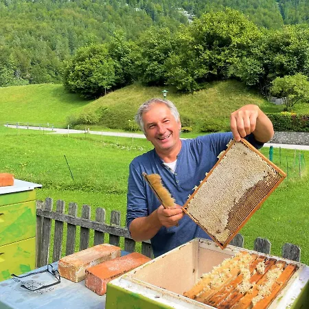 Simmer Obertraun