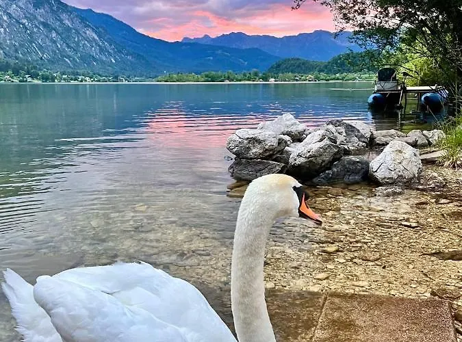 Simmer 3* اوبرترون