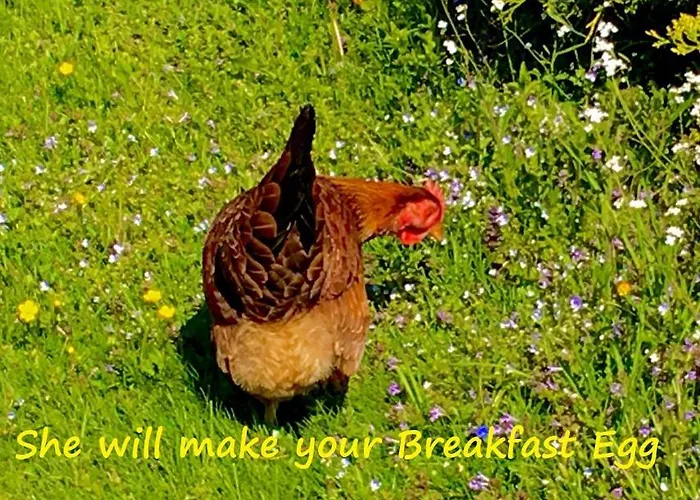 Simmer Casa de hóspedes